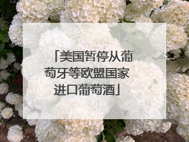 美国暂停从葡萄牙等欧盟国家进口葡萄酒