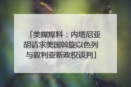 美媒爆料：内塔尼亚胡请求美国斡旋以色列与叙利亚新政权谈判