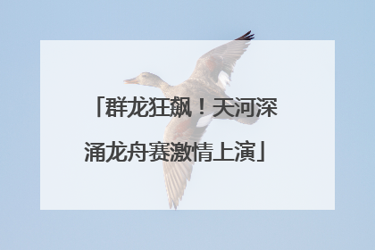 群龙狂飙！天河深涌龙舟赛激情上演