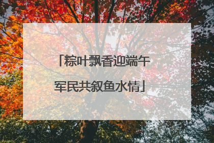 粽叶飘香迎端午 军民共叙鱼水情