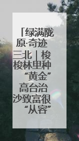 绿满陇原·奇迹三北｜梭梭林里种“黄金” 高台治沙致富很“从容”
