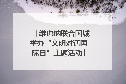 维也纳联合国城举办“文明对话国际日”主题活动