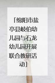 绵阳市盐亭县岐伯幼儿园与石龙幼儿园开展联合教研活动
