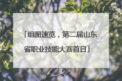组图速览，第二届山东省职业技能大赛首日