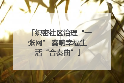 织密社区治理“一张网” 奏响幸福生活“合奏曲”