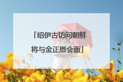 绍伊古访问朝鲜 将与金正恩会面
