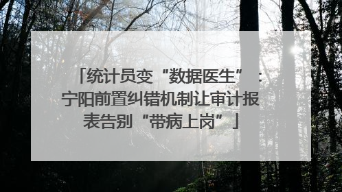 统计员变“数据医生”：宁阳前置纠错机制让审计报表告别“带病上岗”