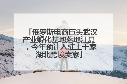 俄罗斯电商巨头武汉产业孵化基地落地江夏，今年预计入驻上千家湖北跨境卖家