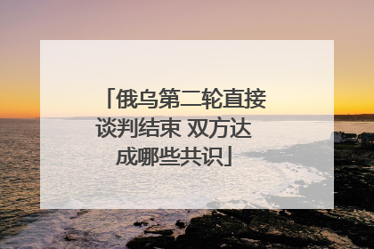 俄乌第二轮直接谈判结束 双方达成哪些共识