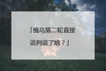 俄乌第二轮直接谈判谈了啥？