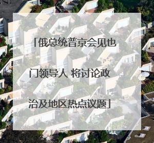 俄总统普京会见也门领导人 将讨论政治及地区热点议题