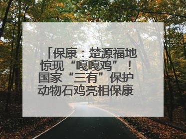 保康：楚源福地惊现“嘎嘎鸡”！国家“三有”保护动物石鸡亮相保康沿河公园