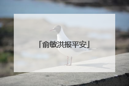 俞敏洪报平安