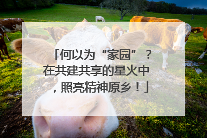 何以为“家园”？在共建共享的星火中，照亮精神原乡！