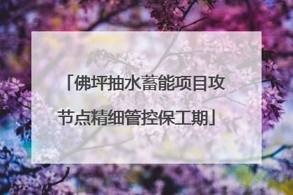 佛坪抽水蓄能项目攻节点精细管控保工期