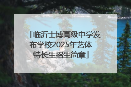 临沂士博高级中学发布学校2025年艺体特长生招生简章