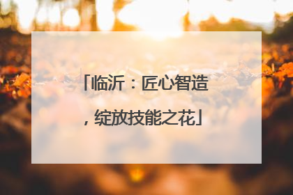 临沂：匠心智造，绽放技能之花