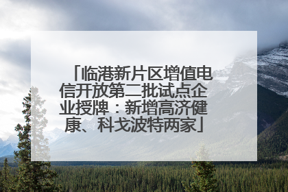 临港新片区增值电信开放第二批试点企业授牌：新增高济健康、科戈波特两家