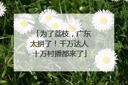 为了荔枝，广东太拼了！千万达人十万村播都来了