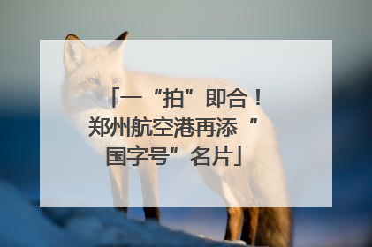 一“拍”即合！郑州航空港再添“国字号”名片