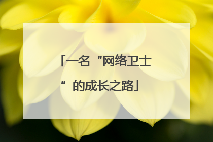 一名“网络卫士”的成长之路