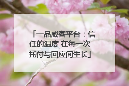 一品威客平台：信任的温度 在每一次托付与回应间生长