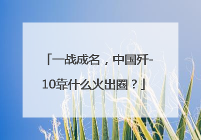 一战成名，中国歼-10靠什么火出圈？