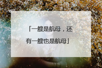 一艘是航母，还有一艘也是航母