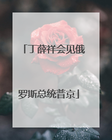 丁薛祥会见俄罗斯总统普京