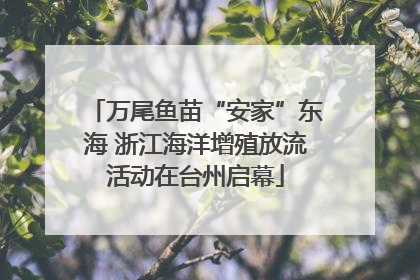 万尾鱼苗“安家”东海 浙江海洋增殖放流活动在台州启幕