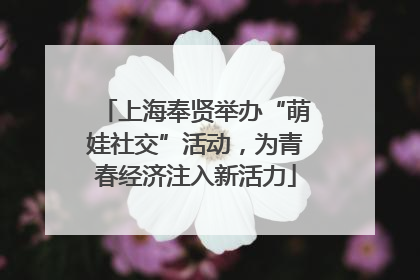 上海奉贤举办“萌娃社交”活动，为青春经济注入新活力