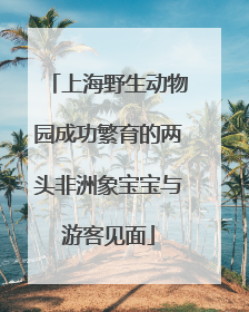 上海野生动物园成功繁育的两头非洲象宝宝与游客见面