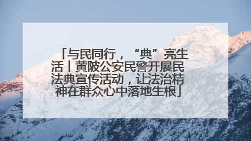 与民同行，“典”亮生活丨黄陂公安民警开展民法典宣传活动，让法治精神在群众心中落地生根