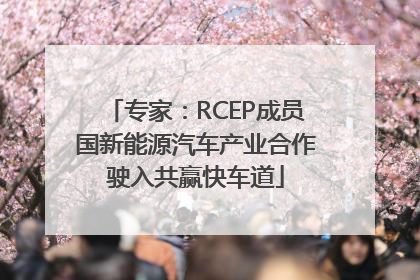 专家：RCEP成员国新能源汽车产业合作驶入共赢快车道