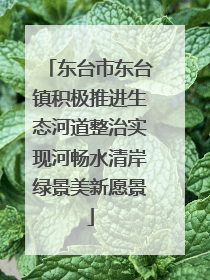 东台市东台镇积极推进生态河道整治实现河畅水清岸绿景美新愿景