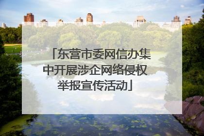 东营市委网信办集中开展涉企网络侵权举报宣传活动