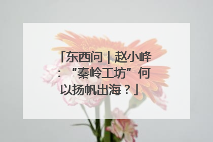 东西问｜赵小峰：“秦岭工坊”何以扬帆出海？