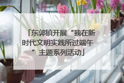 东郭镇开展“我在新时代文明实践所过端午”主题系列活动