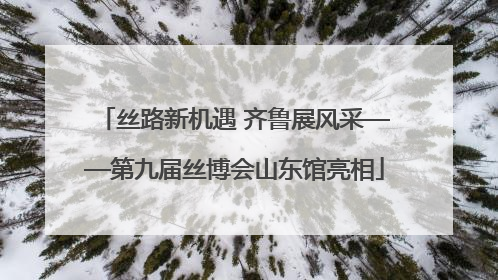 丝路新机遇 齐鲁展风采——第九届丝博会山东馆亮相