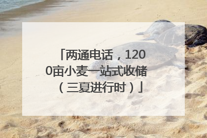 两通电话，1200亩小麦一站式收储（三夏进行时）