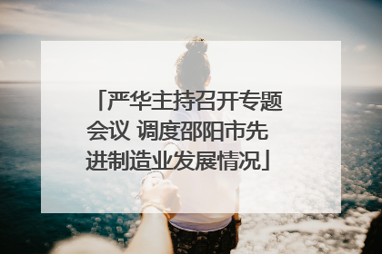 严华主持召开专题会议 调度邵阳市先进制造业发展情况