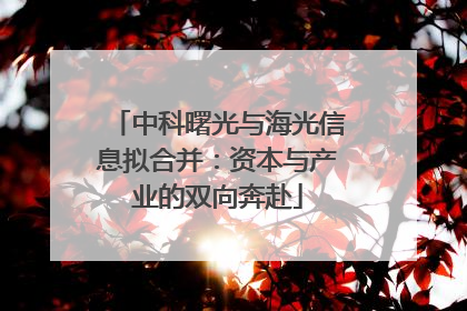 中科曙光与海光信息拟合并：资本与产业的双向奔赴