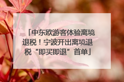 中东欧游客体验离境退税！宁波开出离境退税“即买即退”首单