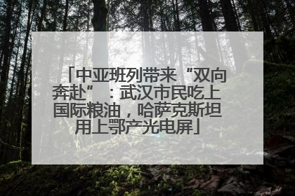 中亚班列带来“双向奔赴”：武汉市民吃上国际粮油，哈萨克斯坦用上鄂产光电屏