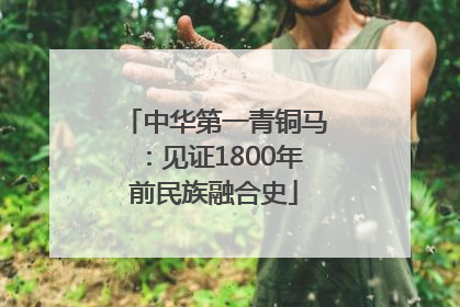 中华第一青铜马：见证1800年前民族融合史
