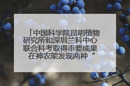 中国科学院昆明植物研究所和深圳兰科中心联合科考取得重要成果 在神农架发现两种“国保”级兰花
