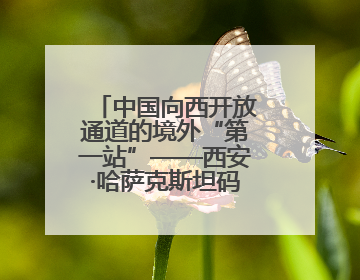 中国向西开放通道的境外“第一站”——西安·哈萨克斯坦码头启用