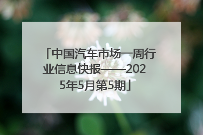 中国汽车市场一周行业信息快报——2025年5月第5期