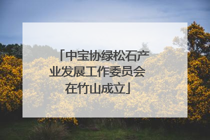 中宝协绿松石产业发展工作委员会在竹山成立