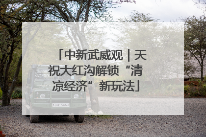 中新武威观｜天祝大红沟解锁“清凉经济”新玩法